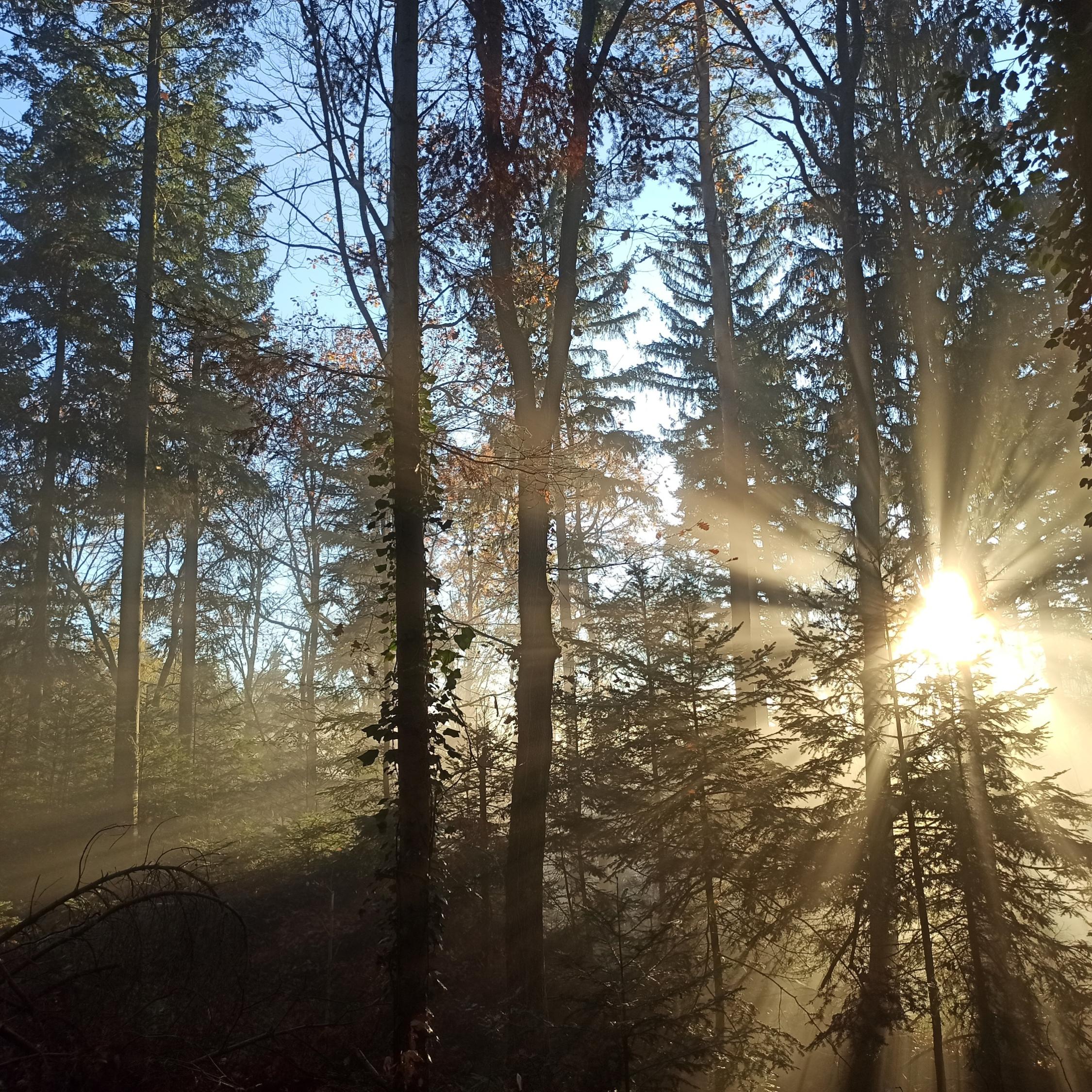 Regelmäßige spirituelle Angebote
