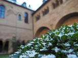 � Stadtdekanat Bonn / Sentis � Stadtdekanat Bonn / Sentis