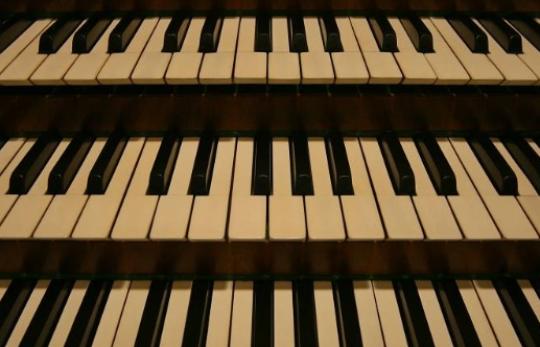 Orgel